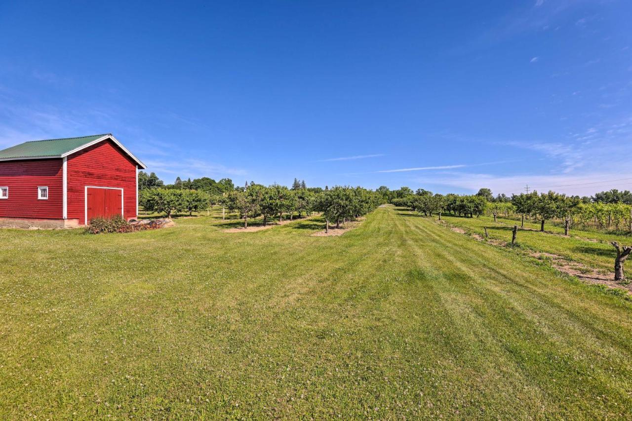 Finger Lakes Farm Retreat Walk To Wineries! Hector Exterior foto